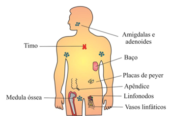 Atividade Unicesumar